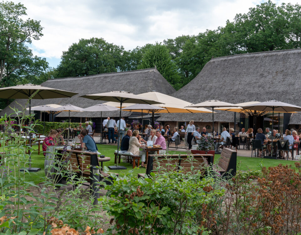 Narline Zuidwolde tuin terras Drenthe