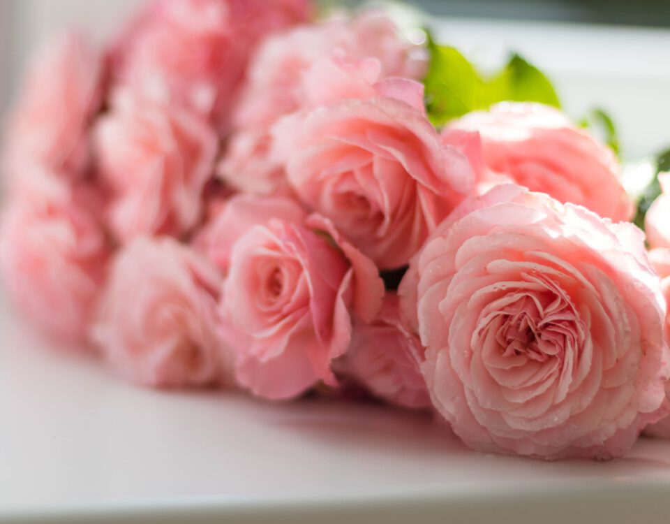 Moederdag Rose rozen. Narline in Zuidwolde.