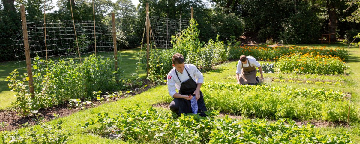 Narline - moestuin - koks