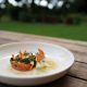 Narline- voorgerecht - zalm graved lachs